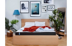 Матрас Blue Sleep Concept 100х200